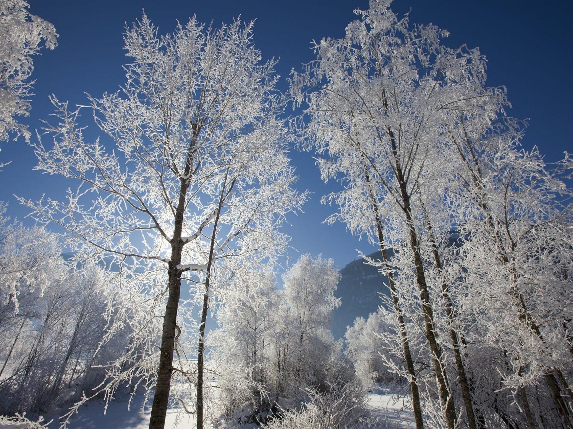 Holiday Home In Ski Area In Mittersill Esterno foto